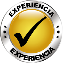 EXPERIENCIA COMISUR
